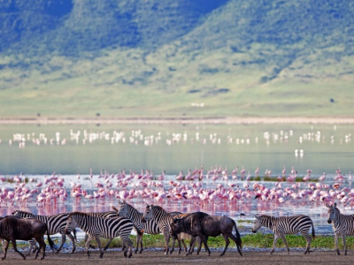 Лучший парк для Сафари Нгоронгоро