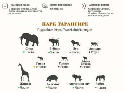 Сафари в Танзании: какой парк выбрать, самое важное в 2022.