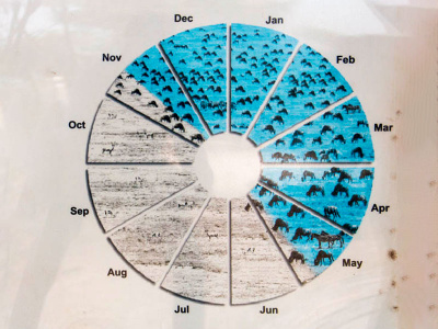 Великая миграция в Танзании