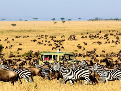 Когда лучше ехать на сафари в Танзании