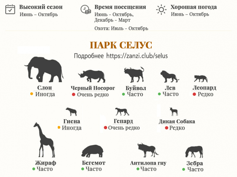 Сафари в Танзании