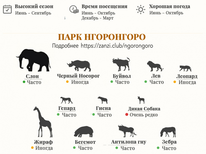 Парк Нгоронгоро. Сафари в Танзании