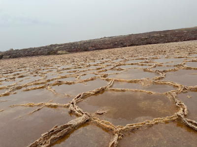 Север Эфиопии: Данакильская Впадина + Харер 8 Дней/7 Ночей
