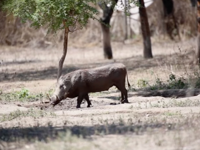 Север Эфиопии 3 Дня/2 Ночи