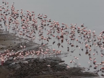 Север Эфиопии 3 Дня/2 Ночи