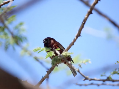 Север Эфиопии 3 Дня/2 Ночи