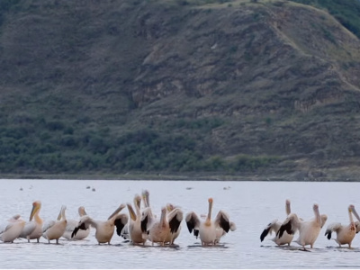 Север Эфиопии 3 Дня/2 Ночи