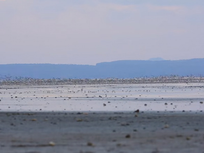 Север Эфиопии 3 Дня/2 Ночи