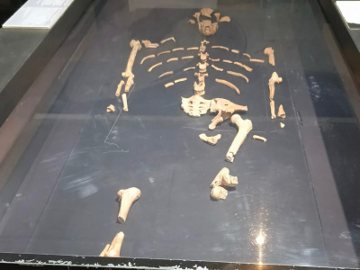 Аддис-Абеба сити тур